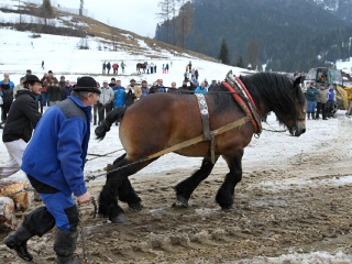 Preteky gazdovských koní 2019-345