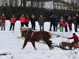 Preteky gazdovských koní 2019-472