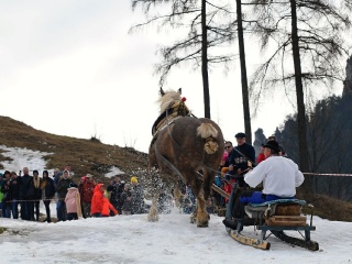 Preteky gazdovských koní 2019-465