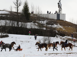 Preteky gazdovských koní 2019-441