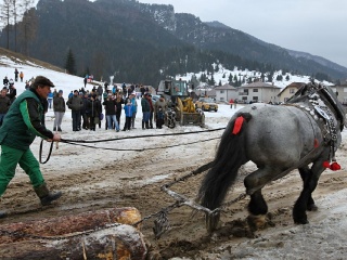 Preteky gazdovských koní 2019-348