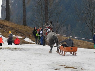 Preteky gazdovských koní 2019-450