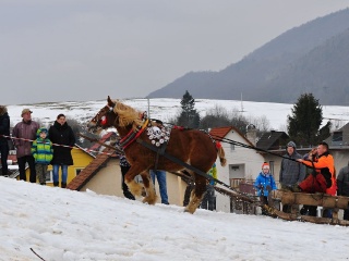 Preteky gazdovských koní 2019-474