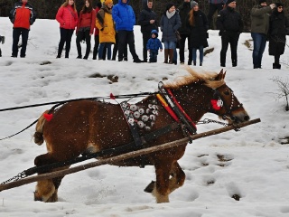 Preteky gazdovských koní 2019-478
