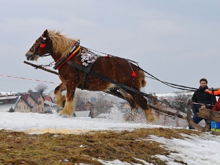 Preteky gazdovských koní 2019-475