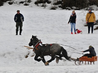 Preteky gazdovských koní 2019-452