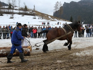 Preteky gazdovských koní 2019-342