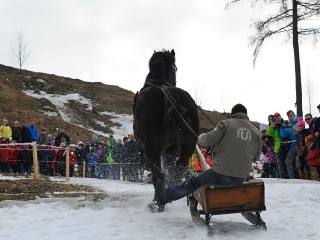 Preteky gazdovských koní 2019-467
