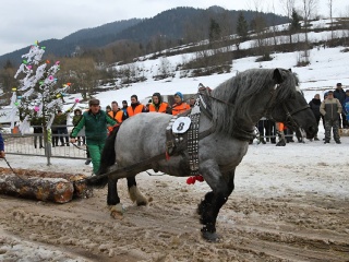 Preteky gazdovských koní 2019-346