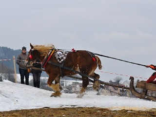 Preteky gazdovských koní 2019-476