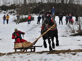 Preteky gazdovských koní 2019-461