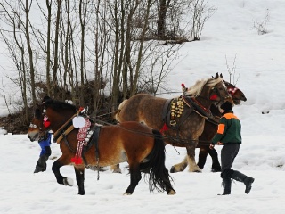 Preteky gazdovských koní 2019-443