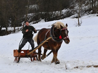 Preteky gazdovských koní 2019-480