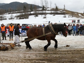 Preteky gazdovských koní 2019-341
