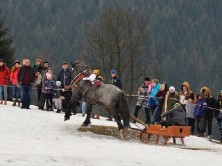 Preteky gazdovských koní 2019-448