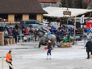 Preteky gazdovských koní 2019-470