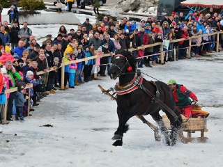 Preteky gazdovských koní 2019-457