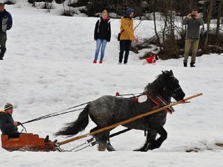 Preteky gazdovských koní 2019-454