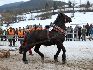 Preteky gazdovských koní 2019-352