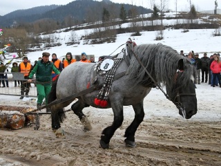 Preteky gazdovských koní 2019-347
