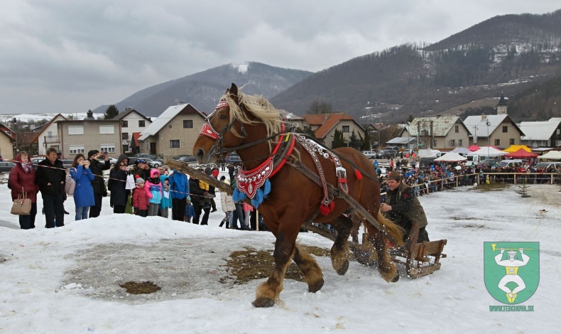 Preteky gazdovských koní 2019-61