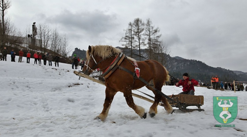 Preteky gazdovských koní 2019-75