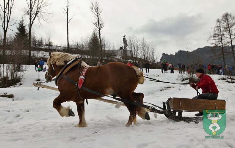 Preteky gazdovských koní 2019-77