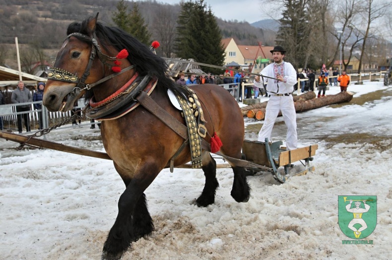 Preteky gazdovských koní 2019-148