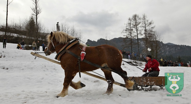 Preteky gazdovských koní 2019-76