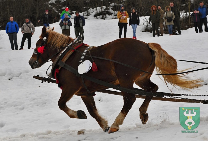 Preteky gazdovských koní 2019-491