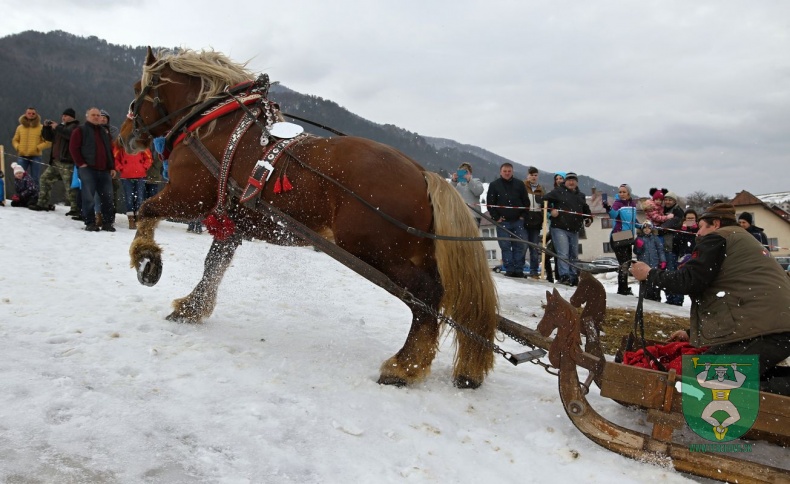 Preteky gazdovských koní 2019-64