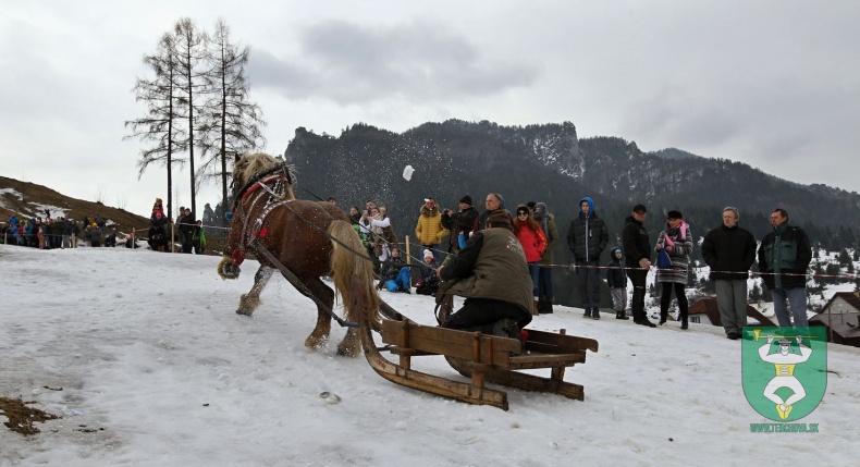 Preteky gazdovských koní 2019-66