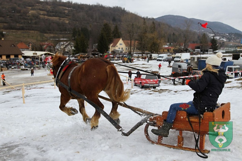 Preteky gazdovských koní 2019-53