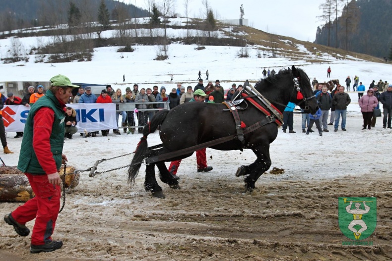 Preteky gazdovských koní 2019-353