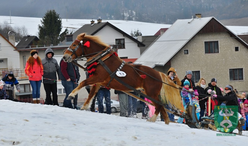 Preteky gazdovských koní 2019-483