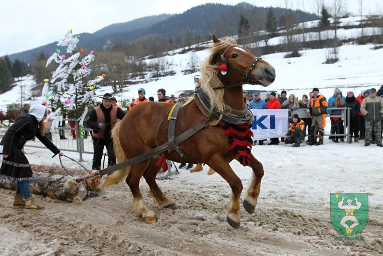 Preteky gazdovských koní 2019-354