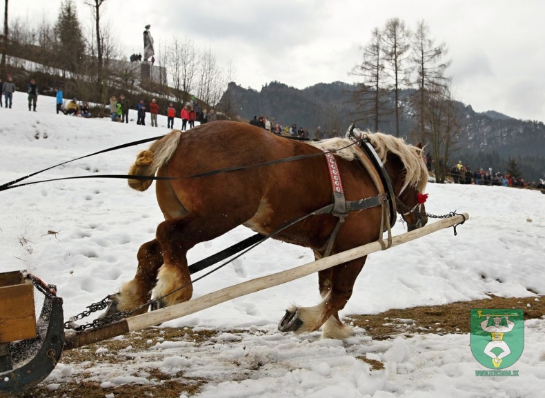 Preteky gazdovských koní 2019-80