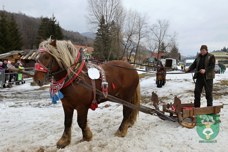 Preteky gazdovských koní 2019-171