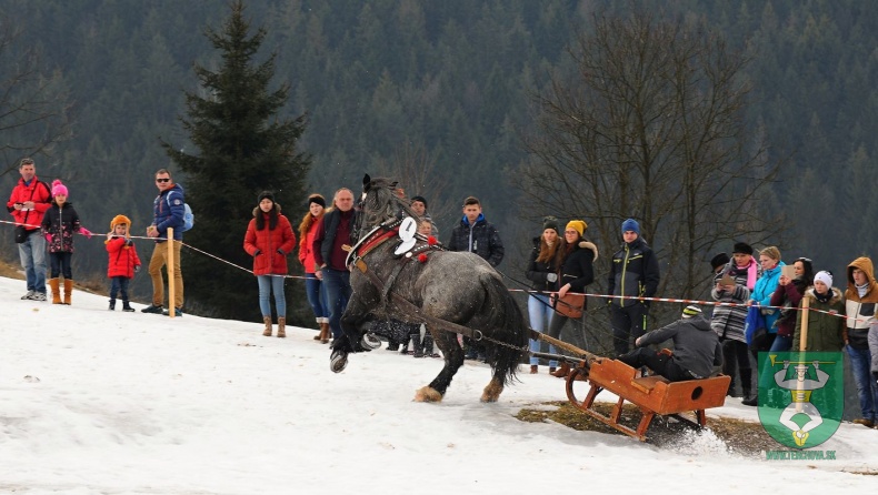 Preteky gazdovských koní 2019-449