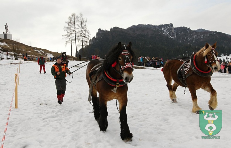 Preteky gazdovských koní 2019-41
