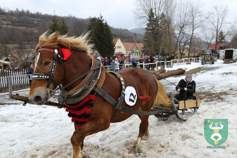 Preteky gazdovských koní 2019-166