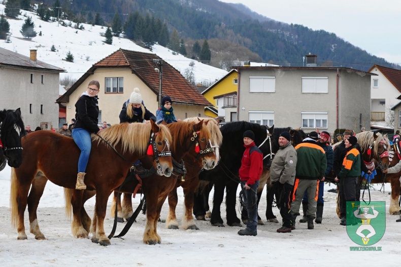 Preteky gazdovských koní 2019-434