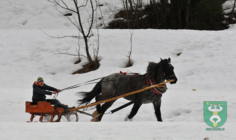 Preteky gazdovských koní 2019-453