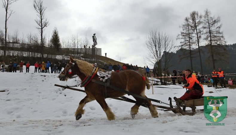 Preteky gazdovských koní 2019-93