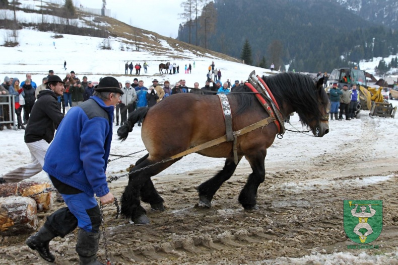 Preteky gazdovských koní 2019-345