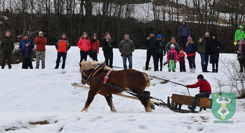 Preteky gazdovských koní 2019-472