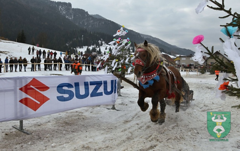 Preteky gazdovských koní 2019-172