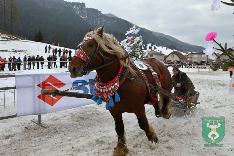 Preteky gazdovských koní 2019-173