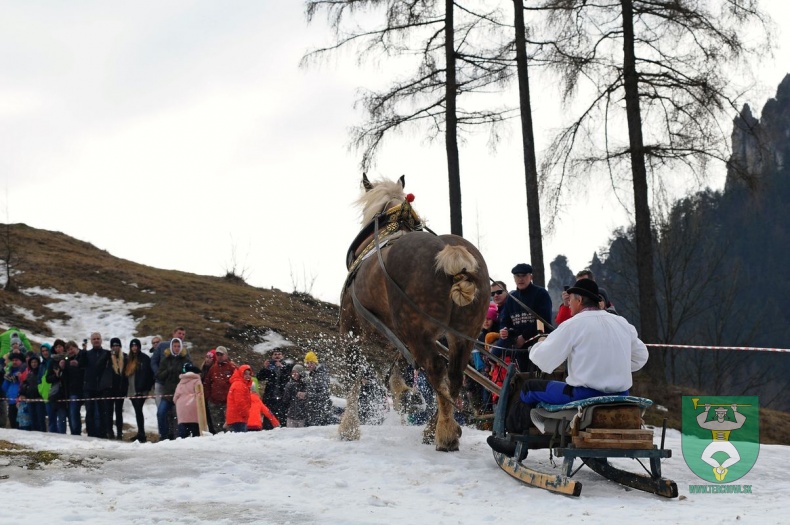 Preteky gazdovských koní 2019-465