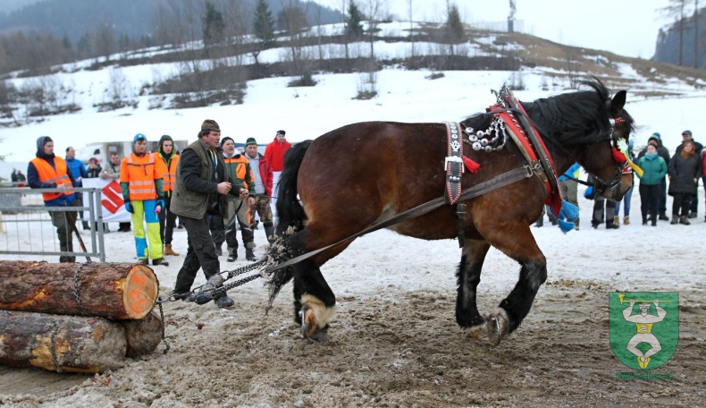 Preteky gazdovských koní 2019-386
